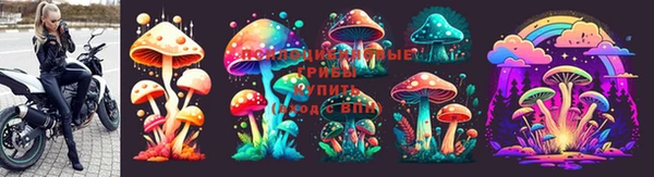 Альфа ПВП Шарыпово
