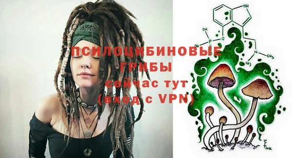 молекула духа Шали