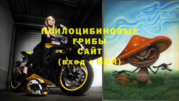 Альфа ПВП Шарыпово