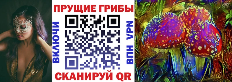 Галлюциногенные грибы Psilocybine cubensis  blacksprut tor  Белоозёрский 